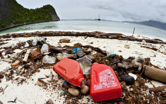 Plastic waste on a tropical beach
