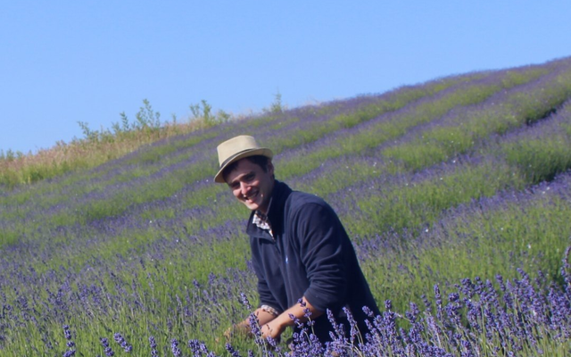 Rory Irwin in a field of lavender