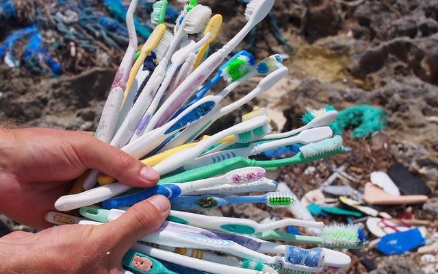 Hands holding around 30 toothbrushes, with other debris on the beach in the background