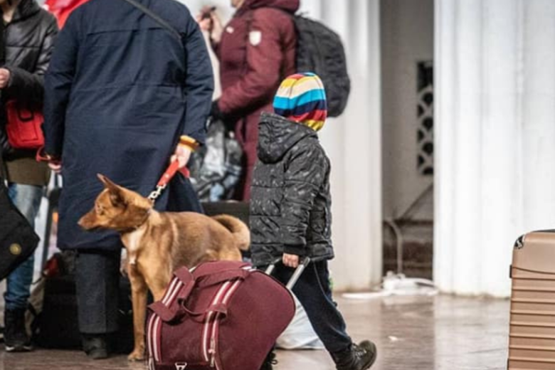 Ukrainian families moving to safety