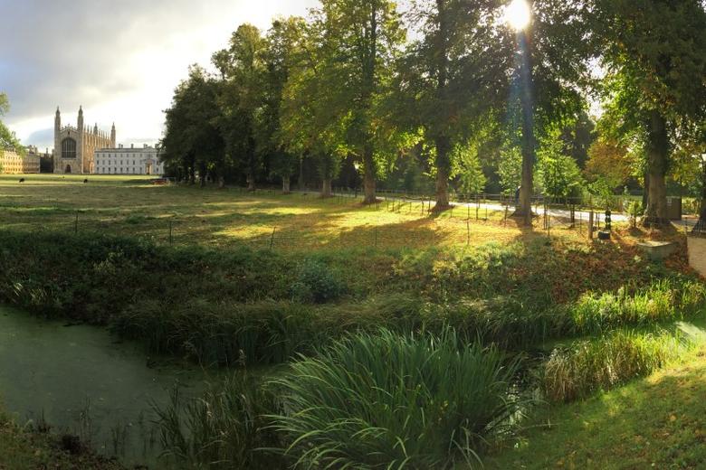 Hidden Cambridge Tours - showing light over a park