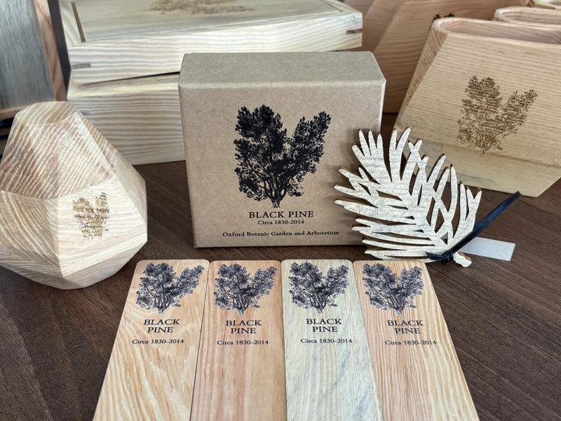 Variety of desk items made from a black pine tree