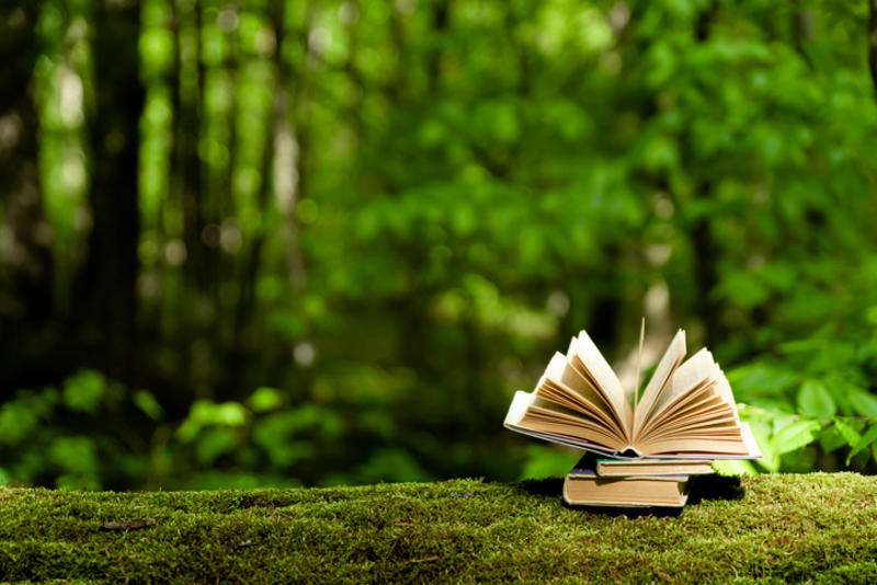 Three books shown open on a moss-covered log in a lush green forest