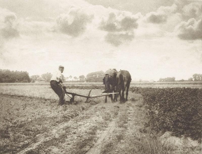 A black and white picture of a dutch peasant ploughing with two horses