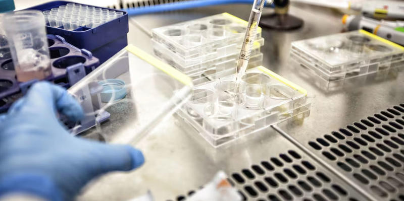 Work on an Ebola vaccine takes place in a laboratory