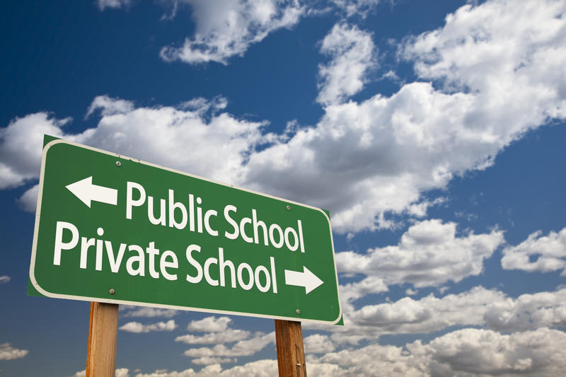 A road sign, with 'Public School' next to an arrow pointing left, and 'Private School' next to an arrow pointing right