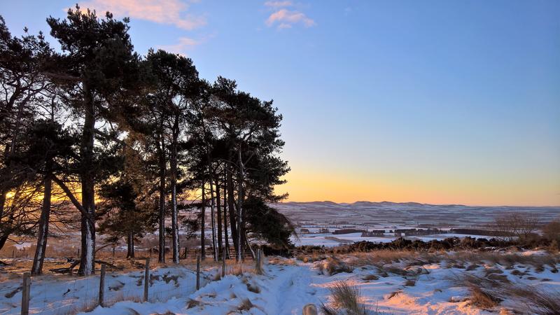 A snowy scene in Scotland, with the sun setting over hills, with coniferous trees in the foreground to the left of the picture, and snow covered moors to the right