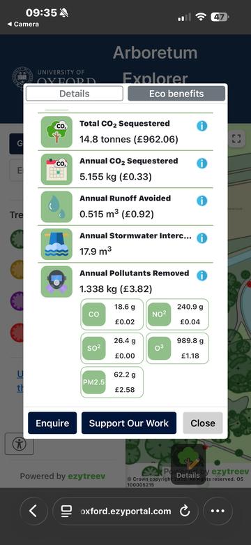 University Parks tree data for a beech tree