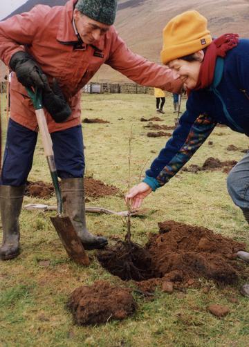 The first tree planted at Carrifran, Jan 1 2000
