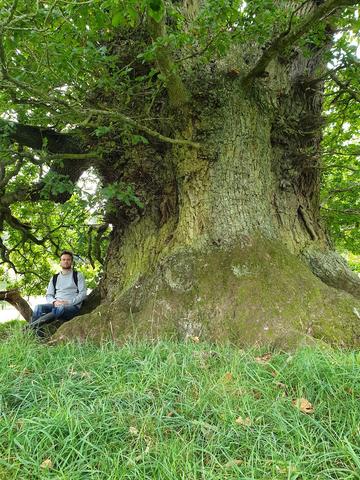 Benedict Pollard next to an ancient oak tree 
