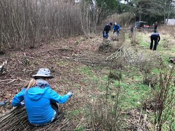 Novice coppicers within the Harcourt Arboretum coppice on Jan 29, 2022