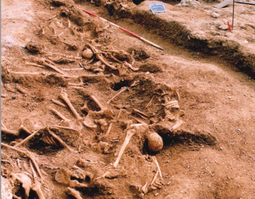 Skeletons dug up at St John's College in 2008