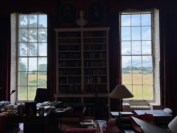 Looking out of Petworth House towards tall grass