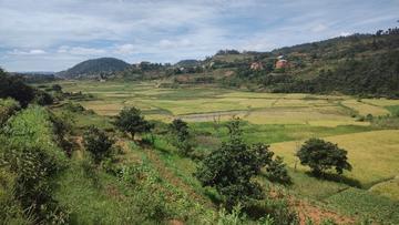 The highlands in Madagascar, where plague mostly occurs
