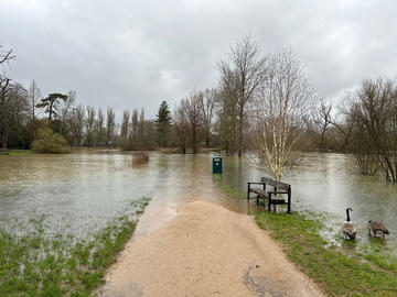 University_Parks_flooded_feb_22_2024