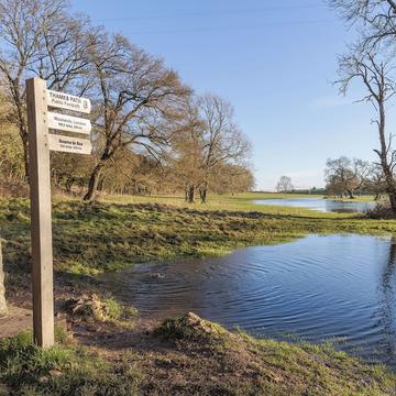 Source of the River Thames, in 2023