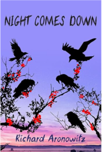 Book cover for 'Night Comes Down' by Richard Aronowitz