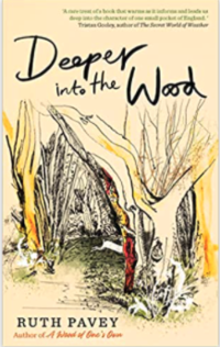 'Deeper into the Wood' by Ruth Pavey, depicting a drawing of a woodland