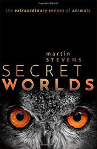 secret_worlds book jacket